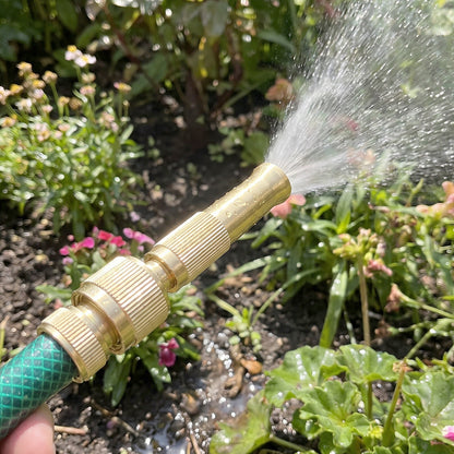 Brass spray gun detail