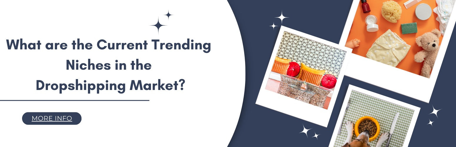 What are the Current Trending Niches in the Dropshipping Market?