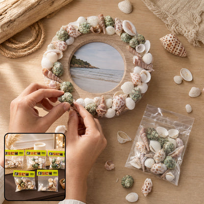 Natural Decorative Seashells Set – Coastal Charm for Home Decor