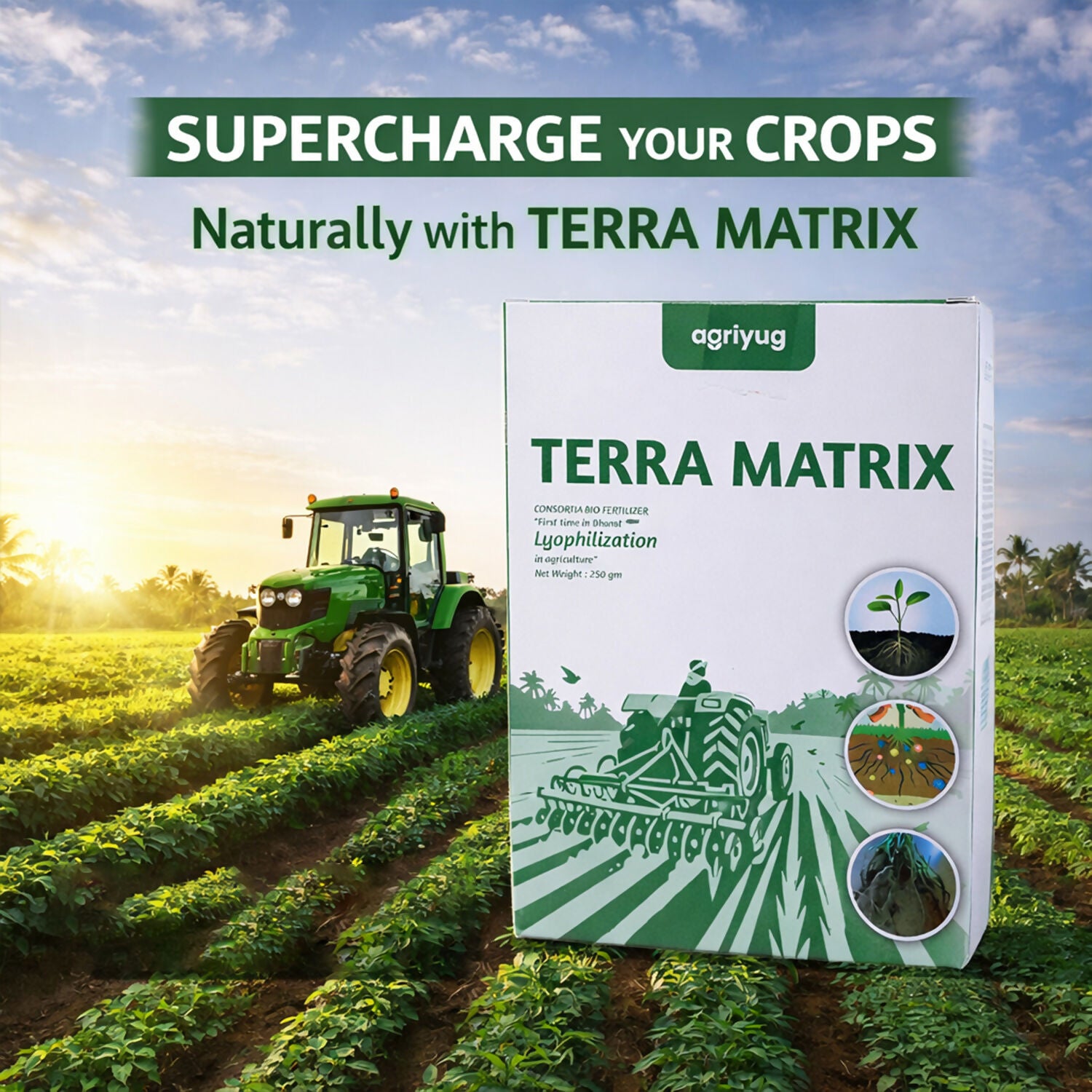 Application of bio fertilizer in vegetable crop field