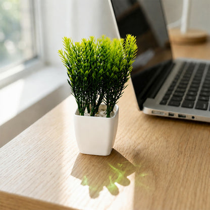 Plant-2