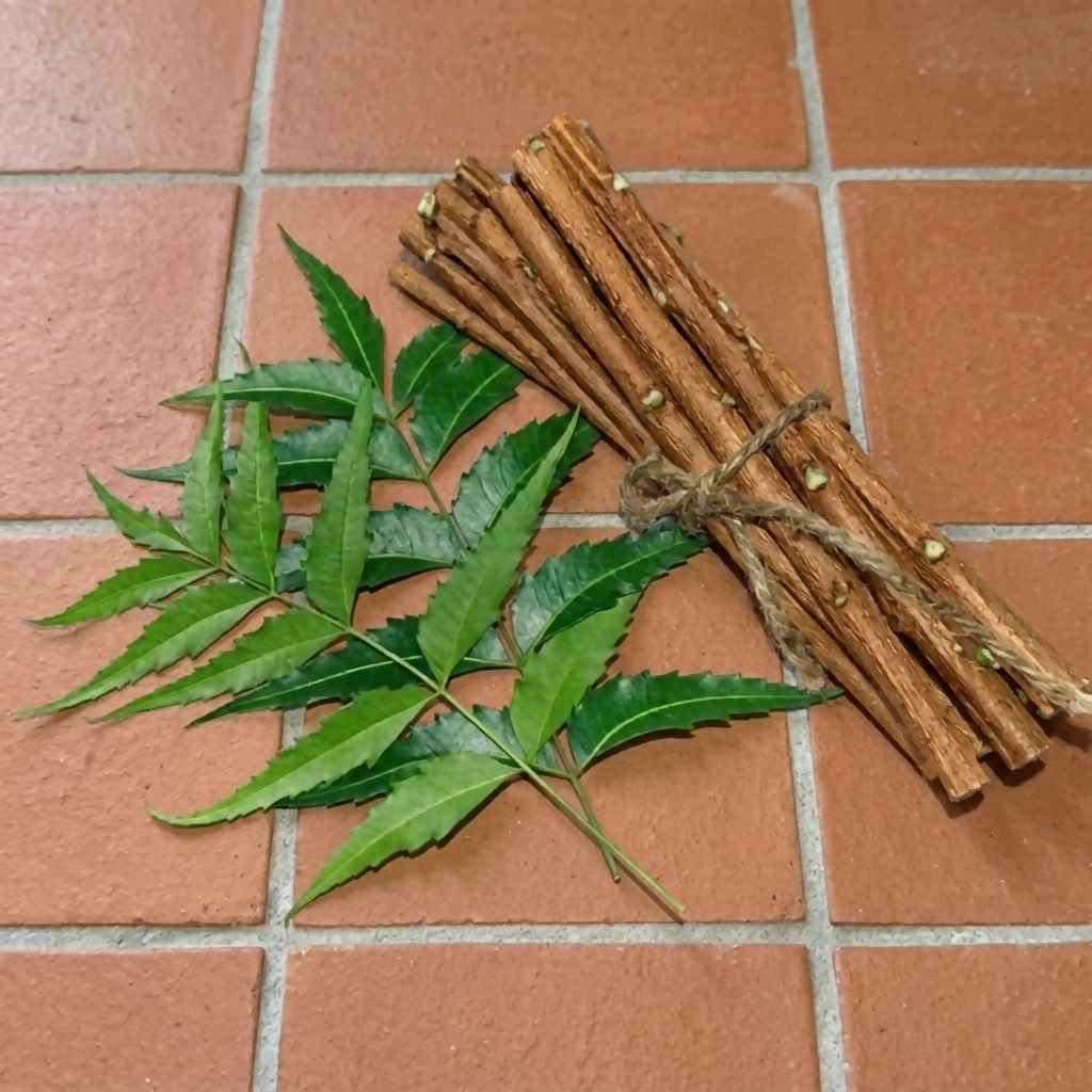 Pack of 12 organic neem datun sticks for dental care