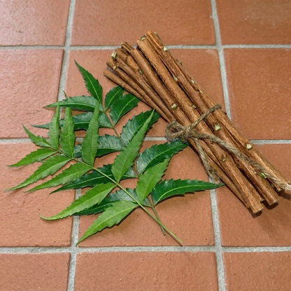 Pack of 12 organic neem datun sticks for dental care