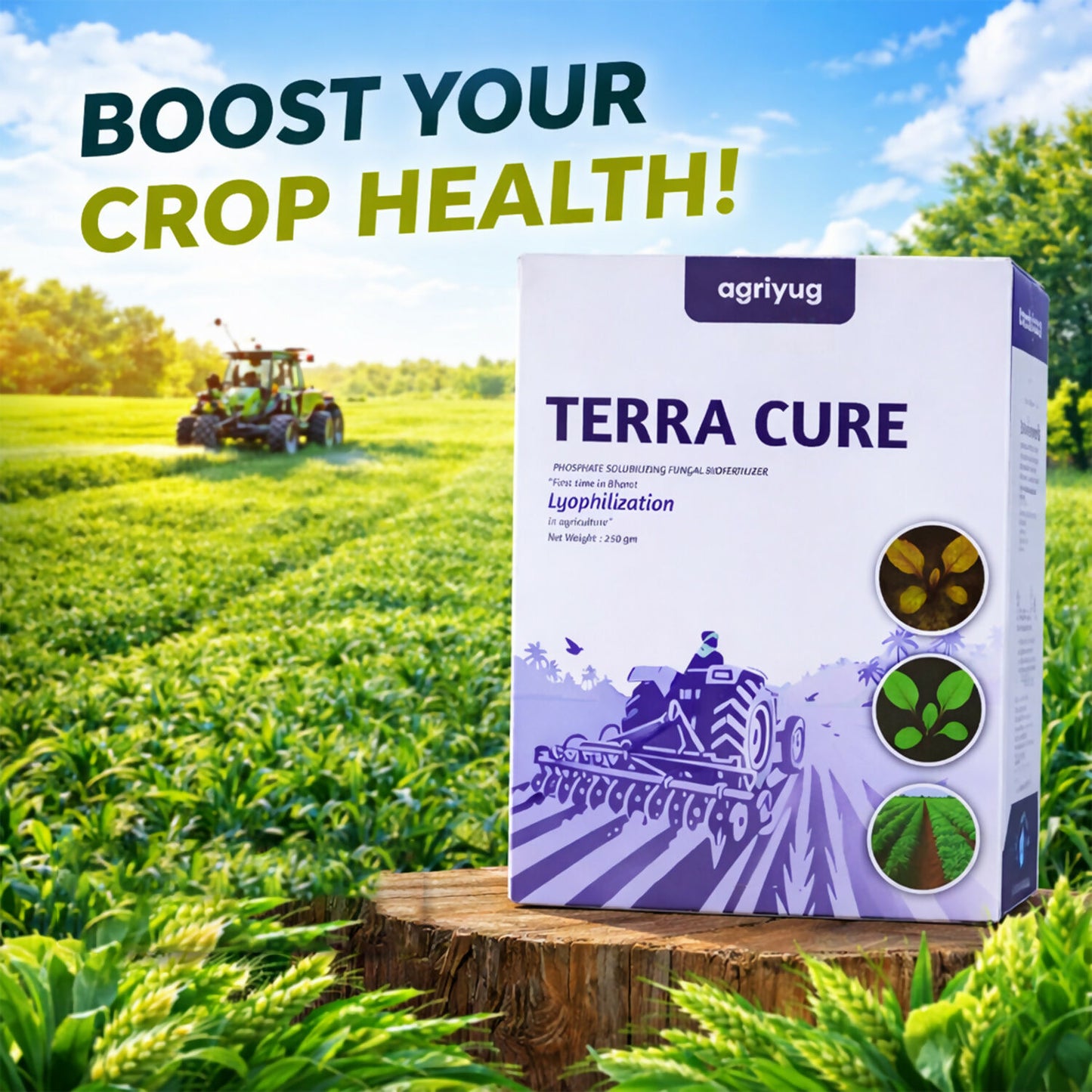 Soil being treated with lyophilization-based fungal control solution