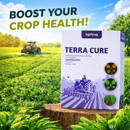 Soil being treated with lyophilization-based fungal control solution