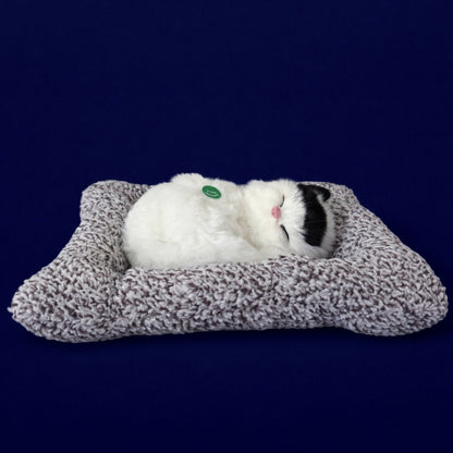 Sleeping Cat Showpiece on Cushion for Home, Office Desk & Car Dashboard Decor