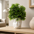 Artificial Green Plant with Buddha Face Pot White Planter for Home Office Zen Decor