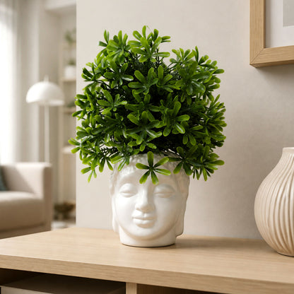 Decorative-Plant-01