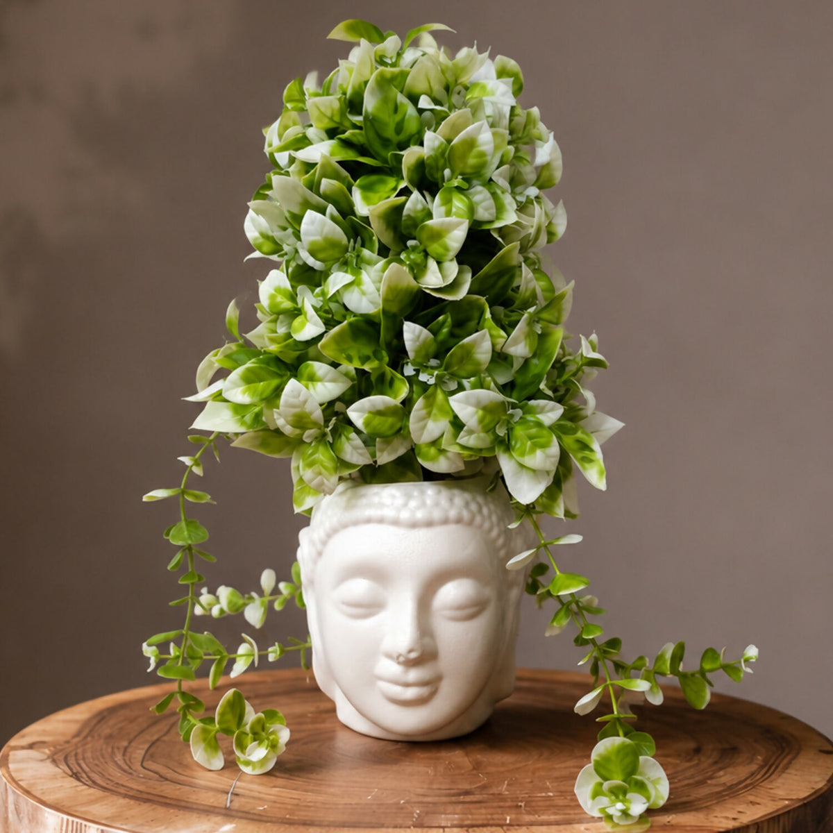 Plant 3