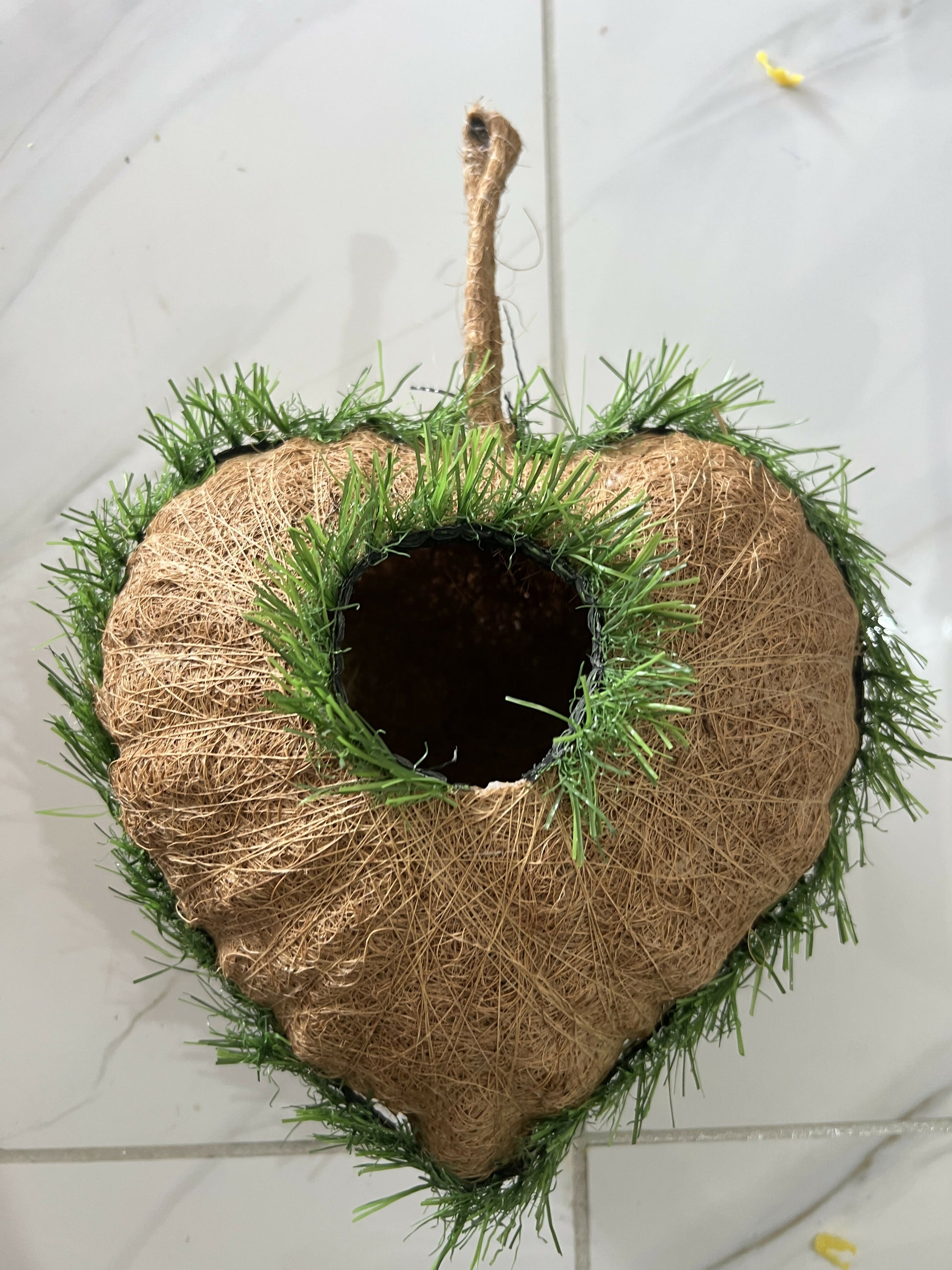 Decorative heart-shaped bird house on tree branch in backyard garden