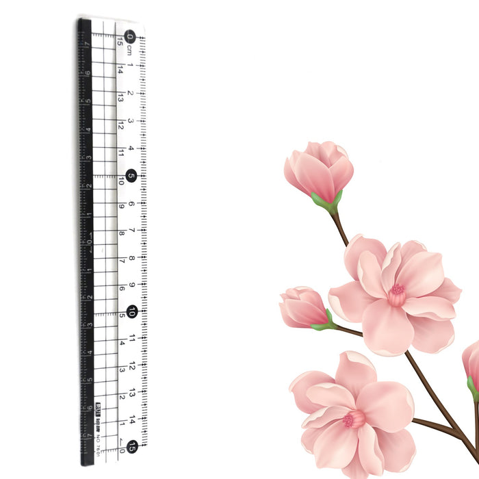 TRANSPARENT RULER, PLASTIC RULERS, FOR SCHOOL CLASSROOM, HOME, OR OFFICE (15 Cm)