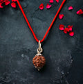 7 Mukhi Rudraksha – Authentic Nepali Bead for Prosperity | BBJ