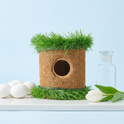 Coir bird house with hanging cord, ready for installation