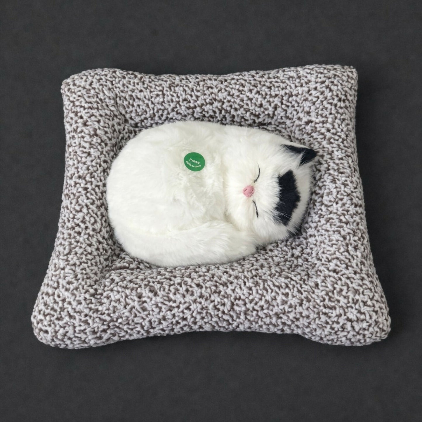Sleeping Cat Showpiece on Cushion for Home, Office Desk & Car Dashboard Decor