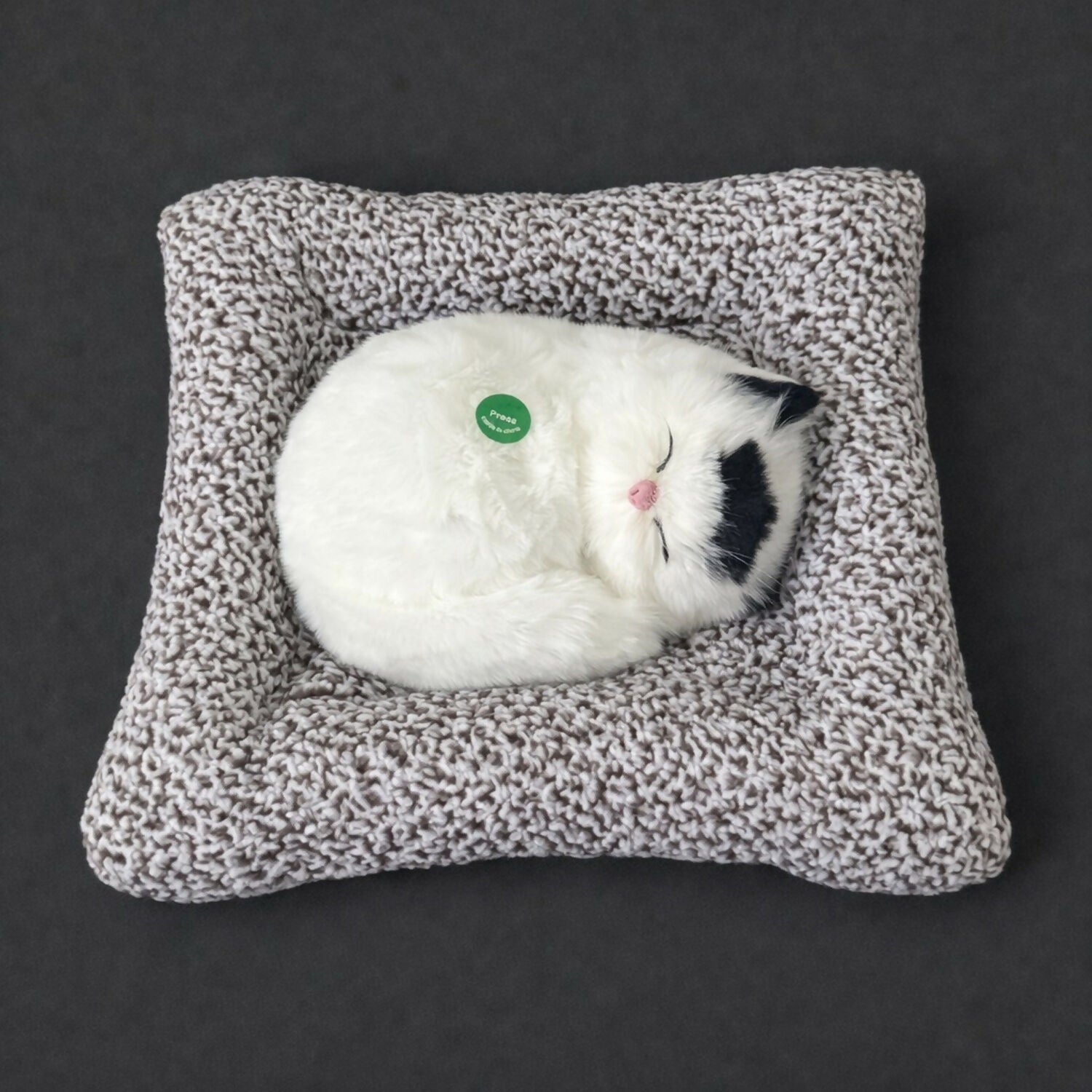 Sleeping Cat Showpiece on Cushion for Home, Office Desk & Car Dashboard Decor