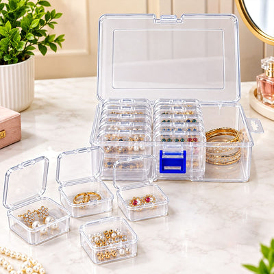Transparent Compartment Storage Box with Removable Mini Cases (1 Pc)