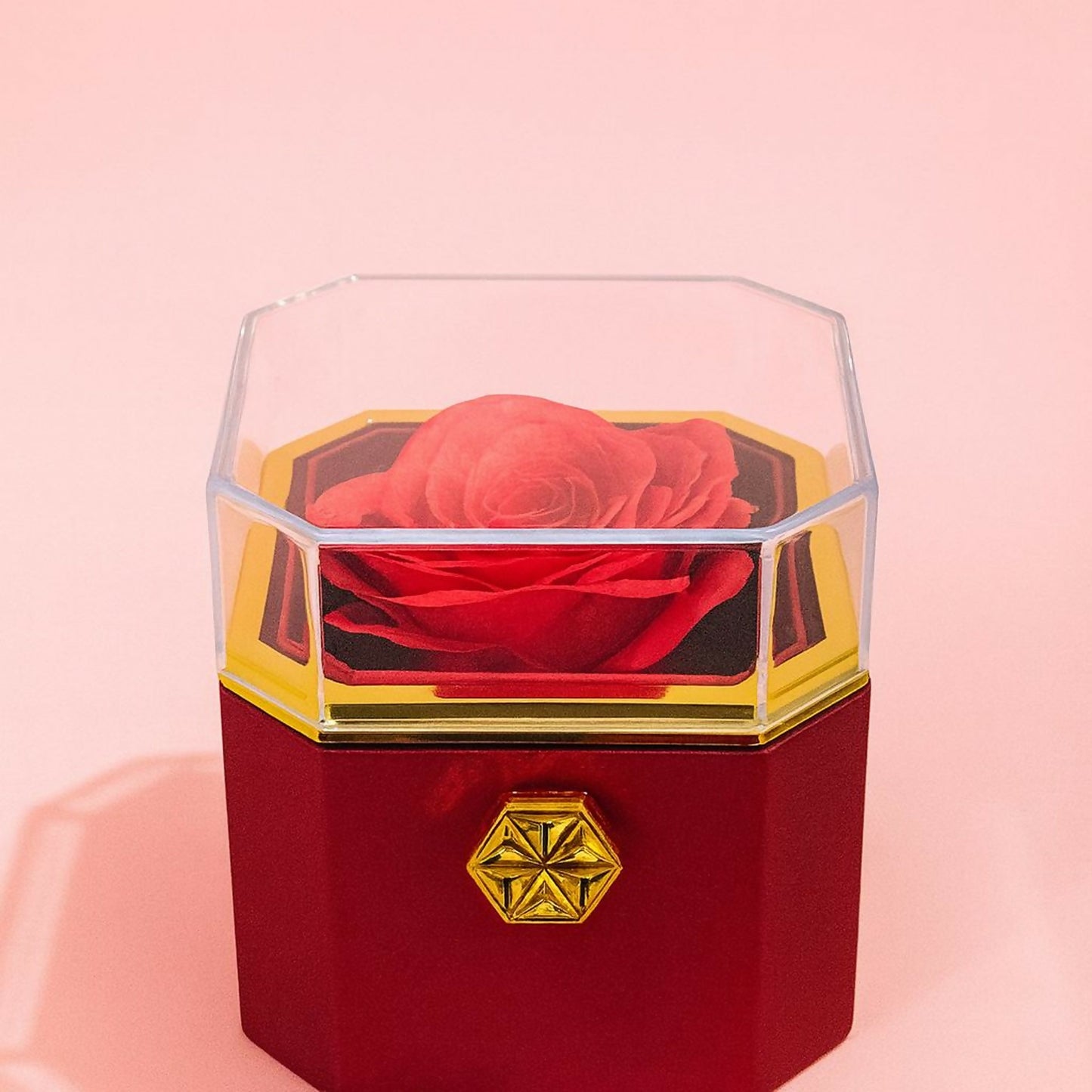 Rose Jewellery Box Gift with Transparent Lid & Premium Storage Case