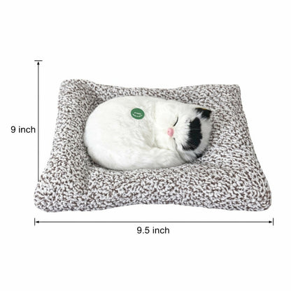 Sleeping Cat Showpiece on Cushion for Home, Office Desk & Car Dashboard Decor