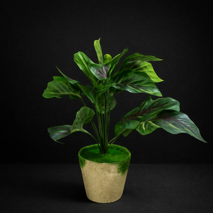 Artificial Decorative Leaf Plant with Pot for Home & Office Table Décor