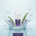 Rosemary Shampoo – Dandruff Control & Healthy Scalp Care