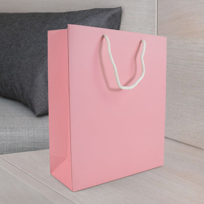 Plain Pink Paper Wedding Gift Bag (10x12x4 inch)