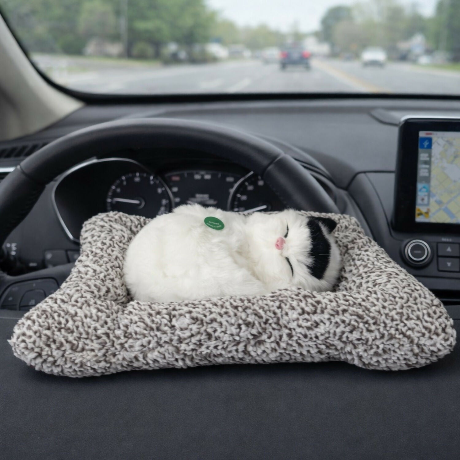 Sleeping Cat Showpiece on Cushion for Home, Office Desk & Car Dashboard Decor