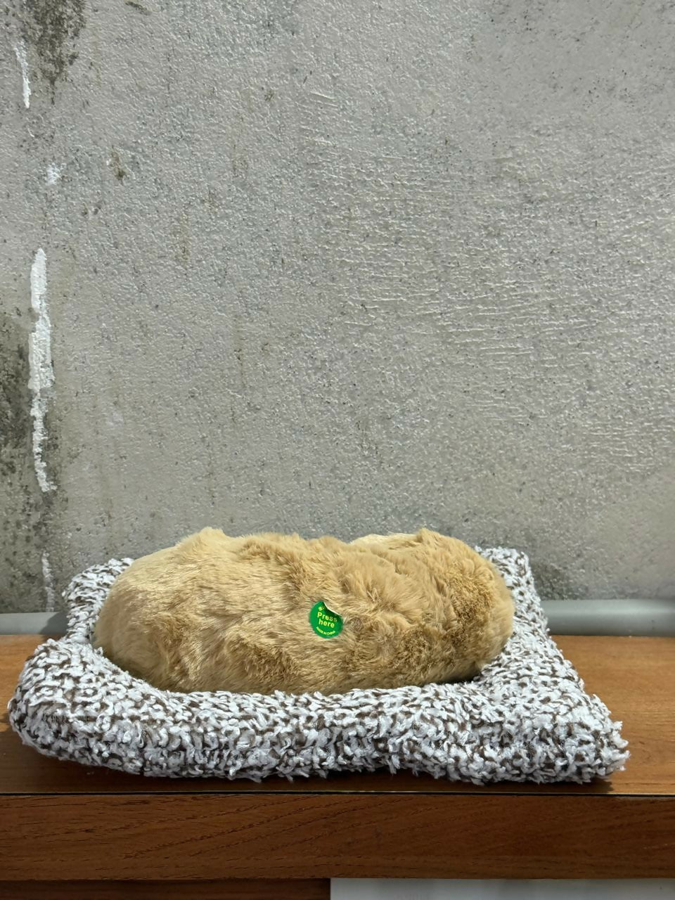 Realistic Sleeping Puppy Toy on Soft Blanket Cushion | Lifelike Artificial Pet Dog Figurine | Adorable Faux Fur Puppy for Home Décor, Gift & Desk Display | Cute Sleeping Dog Model | Stress Relief Toy Puppy Decoration