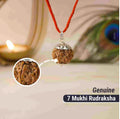 7 Mukhi Rudraksha – Authentic Indonesian Saat Mukhi Bead | BBJ