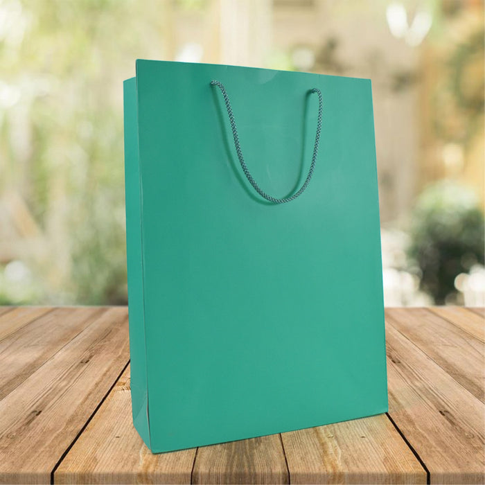 Green Paper Gift Bags (10x14x3.5 Inch)