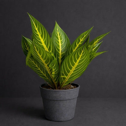 Artificial Decorative Tabletop Plant with Pot for Home & Office Décor