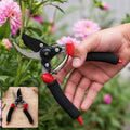 Garden Shear Stainless Steel 21 Cm Sharp Bypass Pruner for Plants (1 Pc)