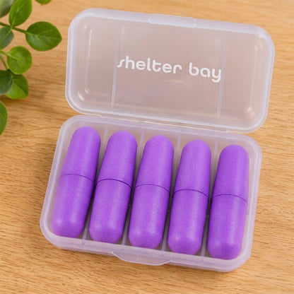 An open clear plastic case holds five purple foam earplugs neatly aligned, with a green plant visible in the top left corner.