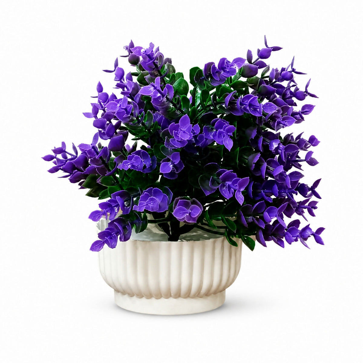 Decorative-Plant-05