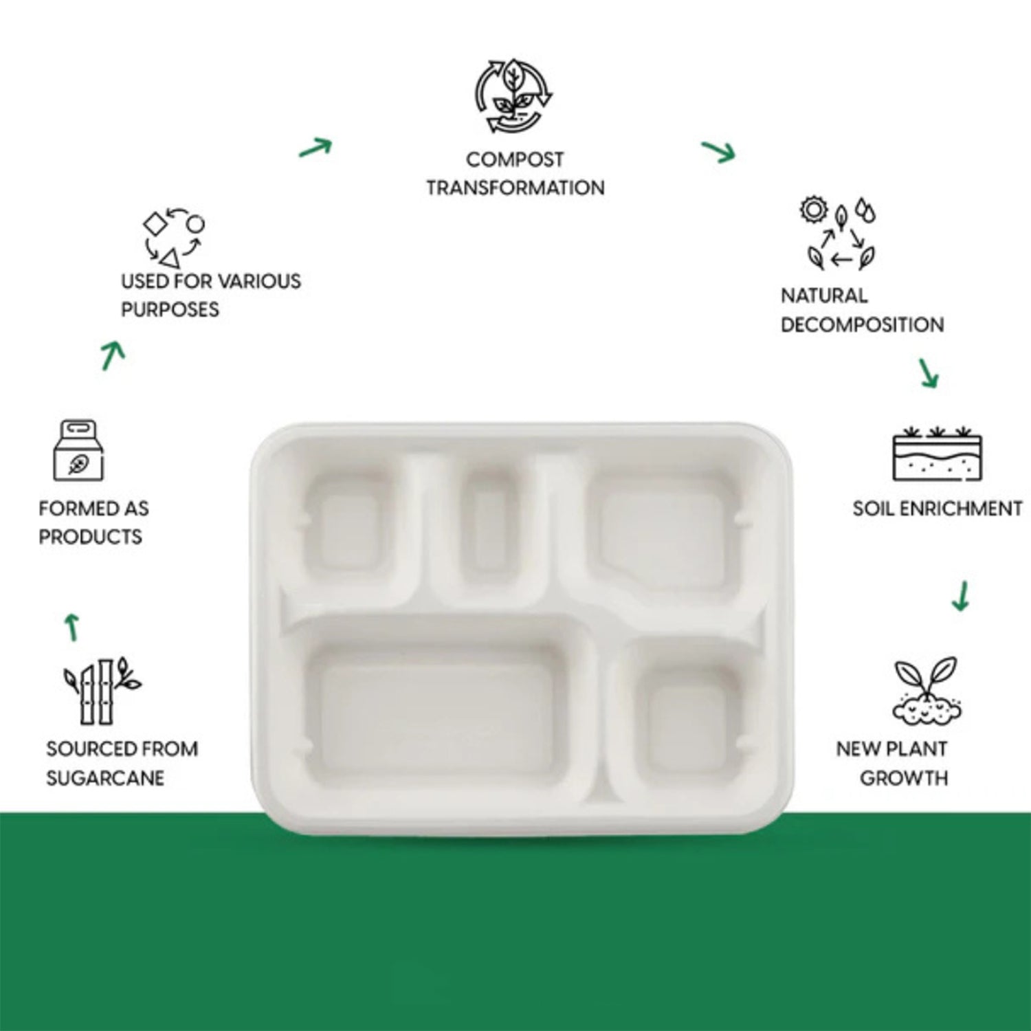 5-Compartment Rectangle Lunch Compostable Bagasse Plate – 10 Pcs Pack