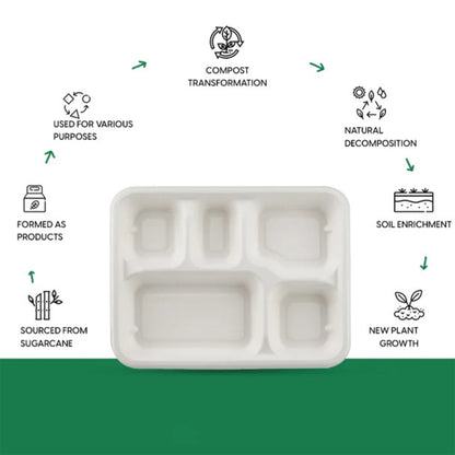 5-Compartment Rectangle Lunch Compostable Bagasse Plate – 10 Pcs Pack