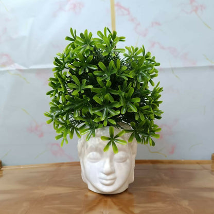 Decorative-Plant-06