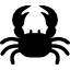 Alt Image