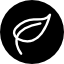 Alt Image