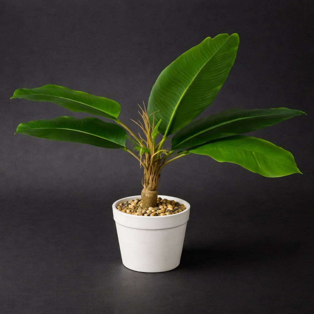 Artificial Large Leaf Tabletop Plant with Pot for Home & Office Décor