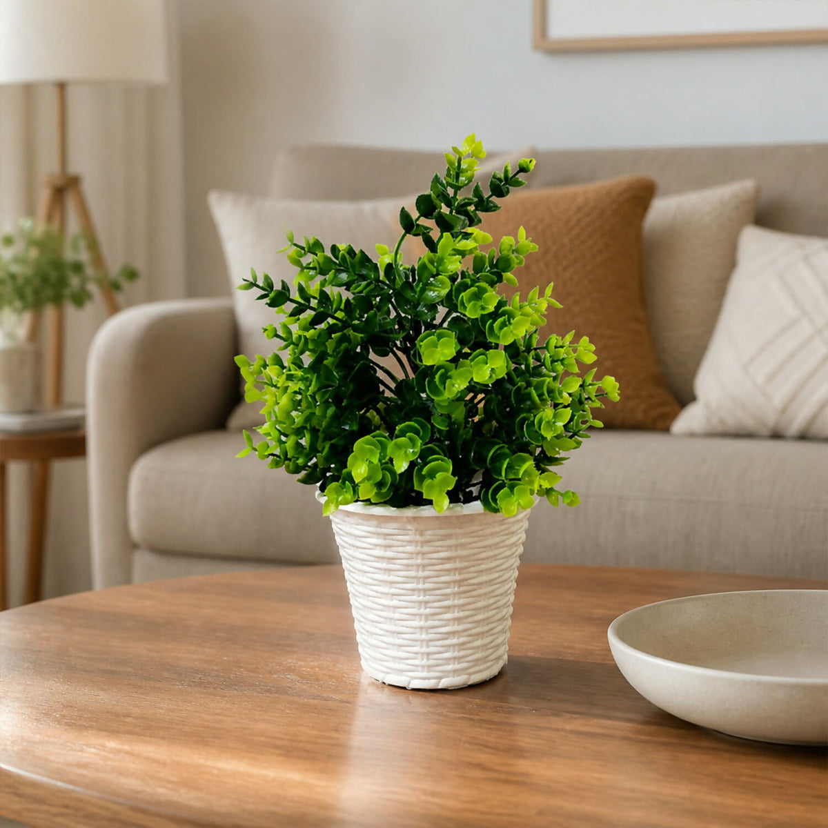 Decorative-Plant-02