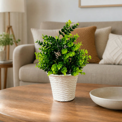 Decorative-Plant-02