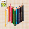 Camlin Colour Pencils – 12 Bright Shades with Smooth Blending & Free Sharpener
