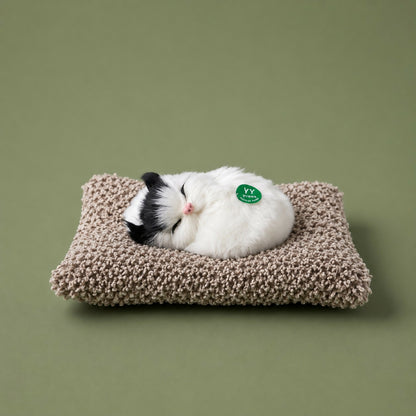 Sleeping cat plush toy shown on car dashboard