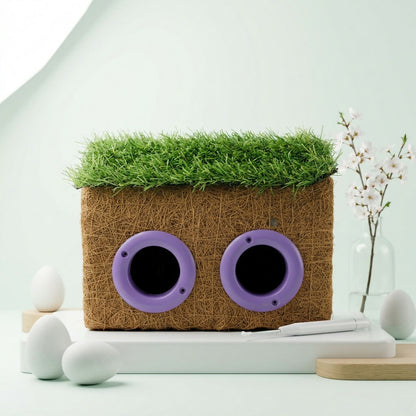 Eco-friendly bird house showing grass roof