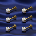 Gold plated Pearl Nosepin Stud Set Flat Back Labret Piercing Combo Pack of 6