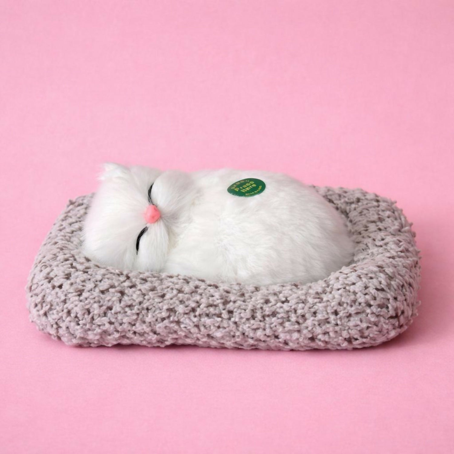 Sleeping White Cat Car Dashboard Plush Cute Soft Toy Showpiece Decor