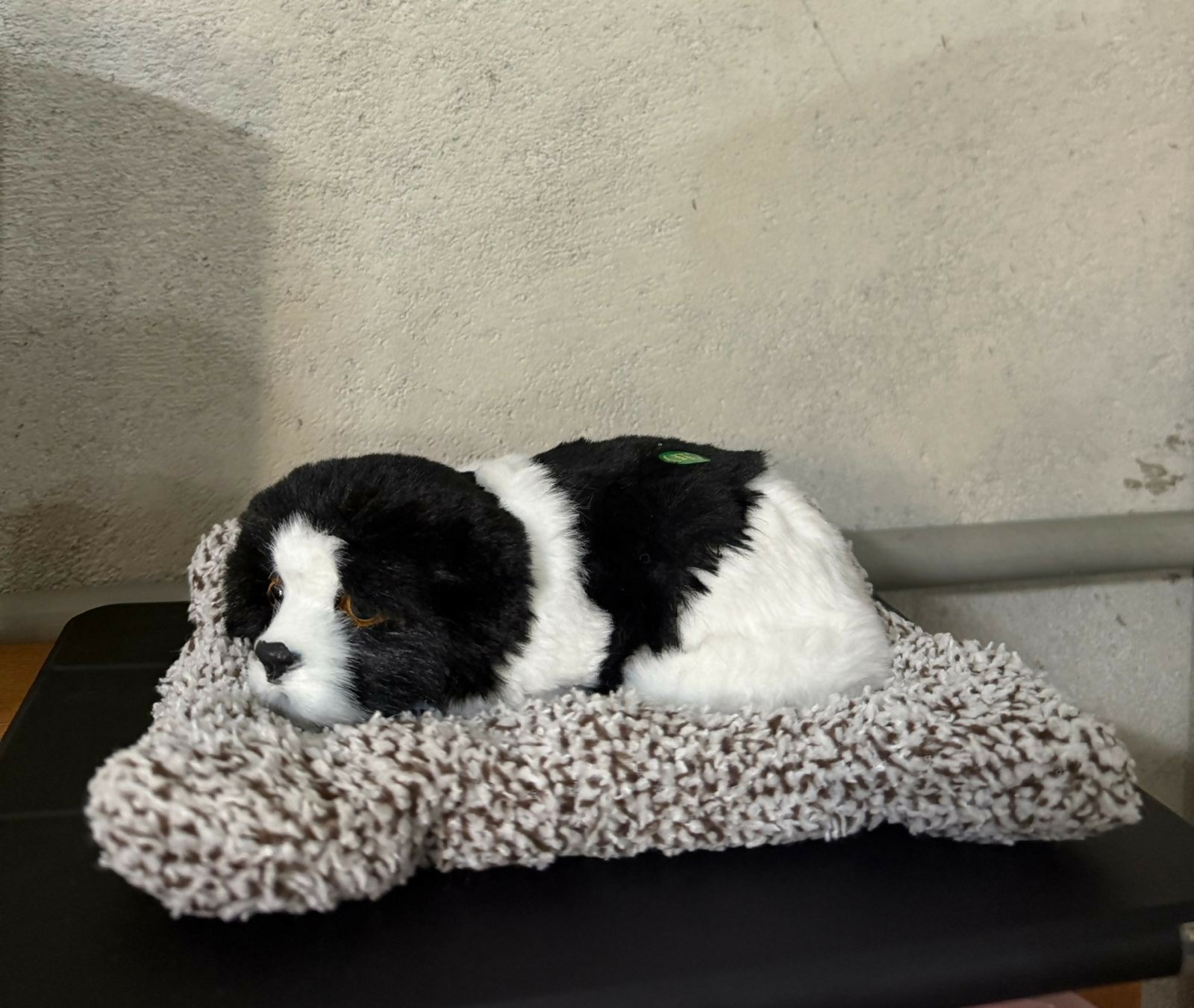 Realistic Sleeping Puppy Car Dashboard Decor Plush Toy