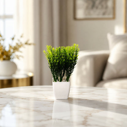 Plant-3