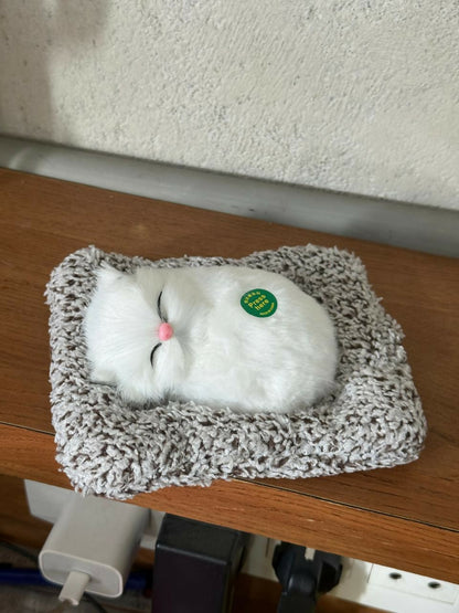 Sleeping White Cat Car Dashboard Plush Cute Soft Toy Showpiece Decor