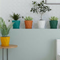 Diamond Flower Pots Set of 5 – Stylish Geometric Design with Saucers
